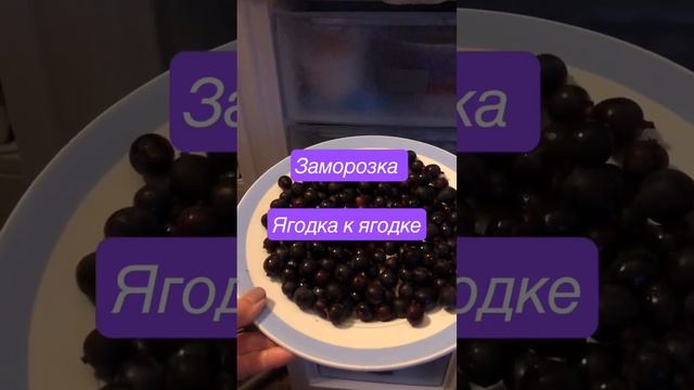 Заморозка ягод: одна к одной