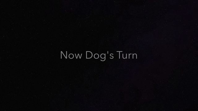 Dog and Panda: Best Enemies Forever смотреть онлайн