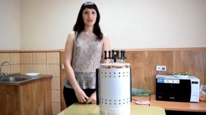 Электрошашлычница Пикник