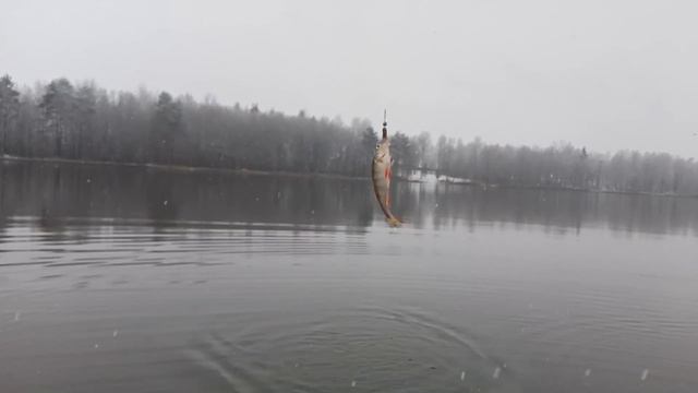 Закрытие сезона. Последняя часть!