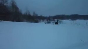 мотобуксировщик (мотособака) ПОМОР 500 катки