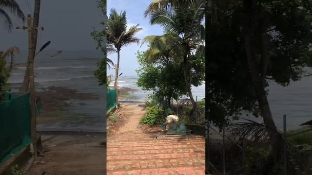 Ashvem Beach Goa Roadside View