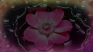 Красивая песня Прости меня моя любимая !