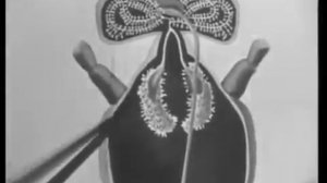 ПЧЕЛОВОДСТВО учебный кинокурс СССР 1967 г. СК