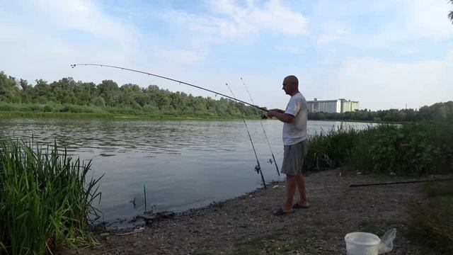 Стерлядь. Рыбалка на Дону.