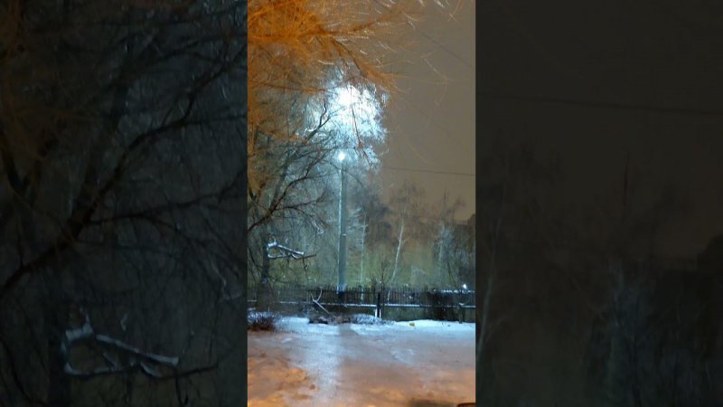 Зимняя зима ❄️