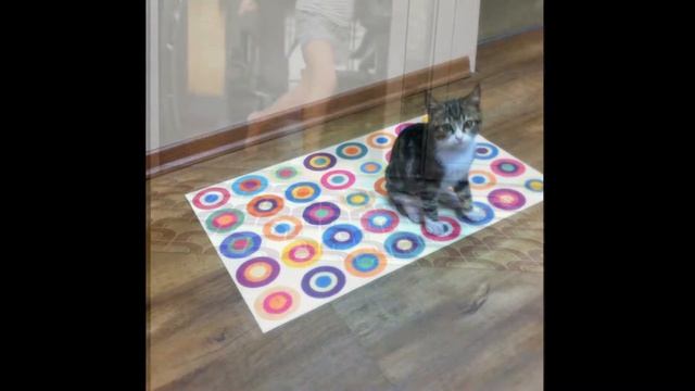 высокое качество -говорит само за себя смотреть онлайн