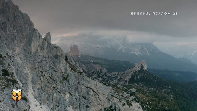 Псалом 25. Современный перевод Библии #biblevision смотреть онлайн