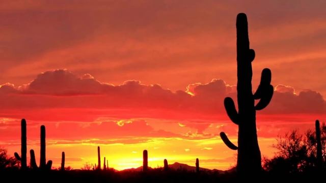 Кастанеда 12 Четыре врага человека смотреть онлайн