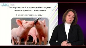 Комплексный подход к биобезопасности в свиноводстве