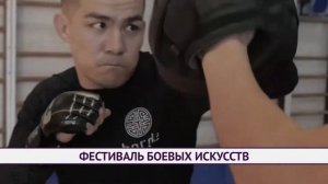 Фестиваль боевых искусств