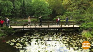 Ботанический сад - всем садам сад! Доброе утро. Фрагмент выпуска от 26.09.2022