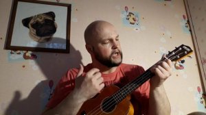 VLNY - Привет (кавер на укулеле)