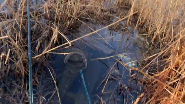 Апрельский КАРАСЬ на ПОПЛАВОК !)Начало запрета ловим на удочку с берега ) смотреть онлайн