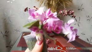 Орхидеи почтой: фаленопсис мини и мультифлора! Мои новые красотки!))))