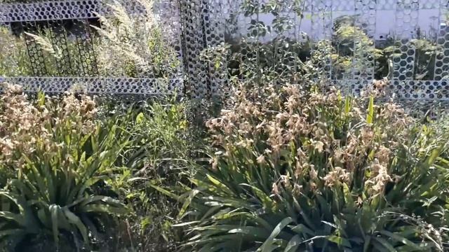 Ульяновск. Дачное рабство... смотреть онлайн