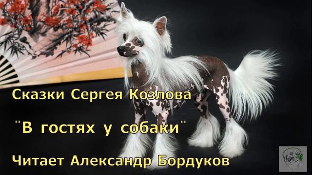 Сказки С. Козлова.  В гостях у собаки. смотреть онлайн