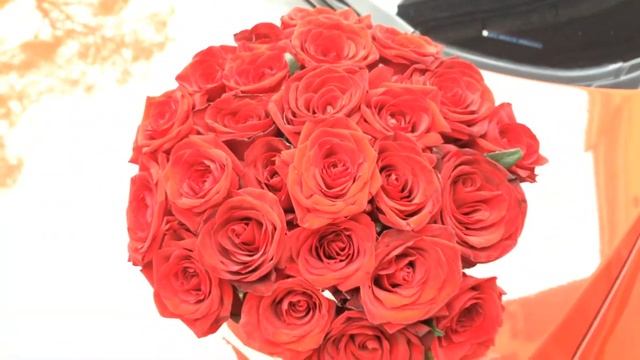 25 красных роз в шляпной коробке смотреть онлайн