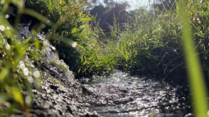 Музыка для Медитации. Музыка Релакс со Звуками Воды. Музыка для Сна. Расслабляющая Музыка Бали