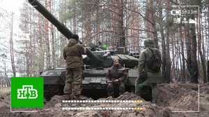 Киев скрывает потерю территорий в зоне СВО