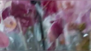 Шикарный  привоз орхидей у Татьяны. Центр.рынок Майкоп. Много биг липов, бабочки.