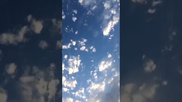 Один лишь раз сады цветут... смотреть онлайн