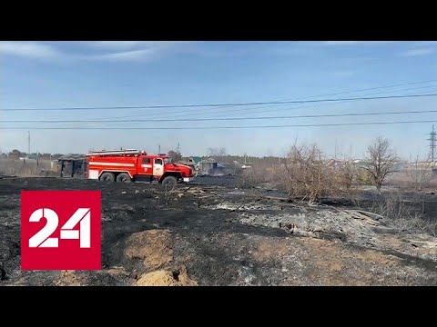 Площадь лесных пожаров в России начала сокращаться - Россия 24