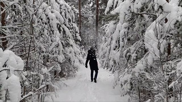 Чёрно-белый мир. Гуляем по укрытому снегом лесу. смотреть онлайн