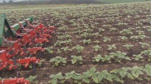 Небольшой обзор пропашного культиватора и МТЗ 82.1