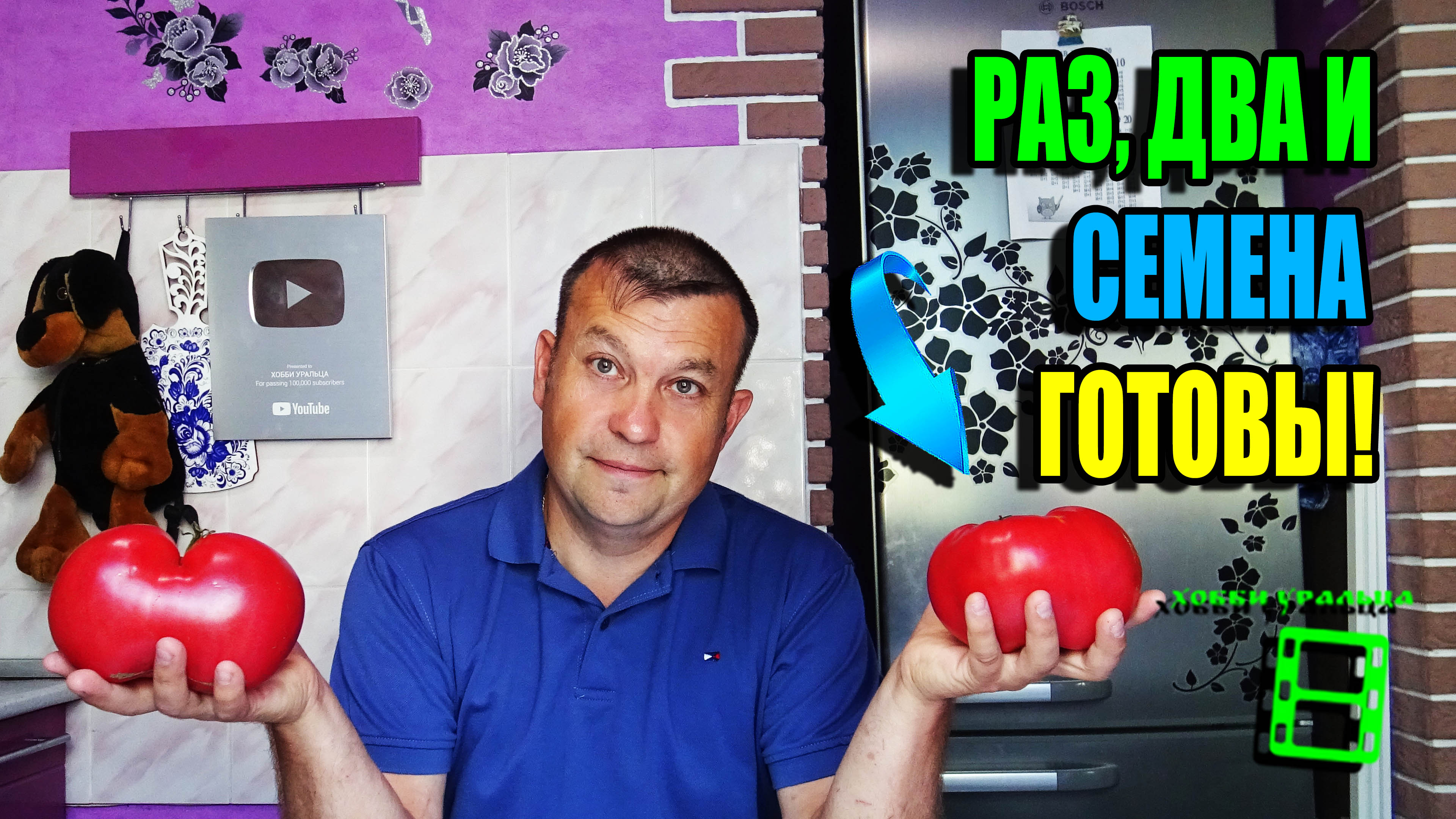 КАК ЛЕГКО СОБРАТЬ СЕМЕНА ПОМИДОРОВ (ЗАГОТОВИТЬ СЕМЕНА ТОМАТОВ)? ЭКОСАД (ОГОРОД) И ТЕПЛИЦА 22-32