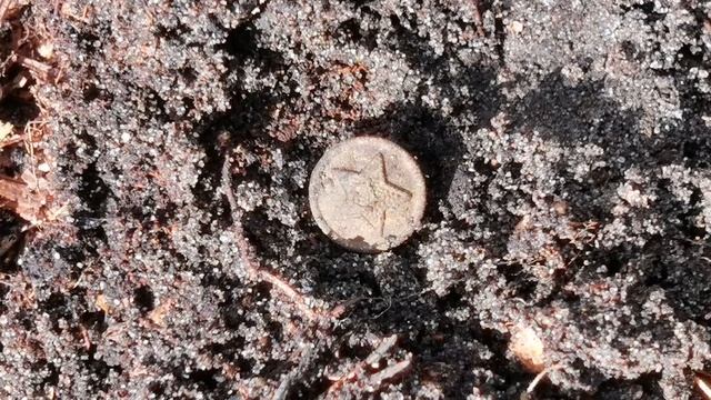 Загадки полигона. Необычные находки в жилой зоне смотреть онлайн