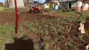 Работа трактора Уралец 224 с китайский Плугом .