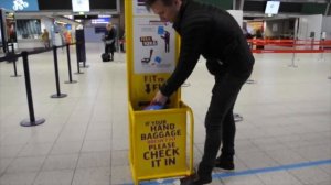 Чемодан самокат Zinc Flyte ручная кладь Динозавр