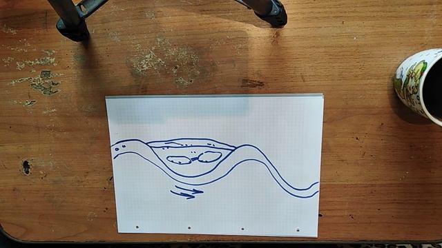 Природное очищение воды