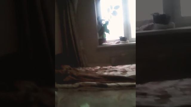 кувырок вперёд смотреть онлайн