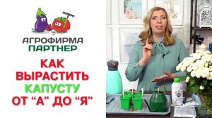 КАК ВЫРАСТИТЬ КАПУСТУ. ОТ “A” ДО “Я”