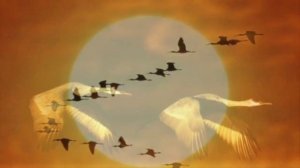 В  Семин.  Журавли ..