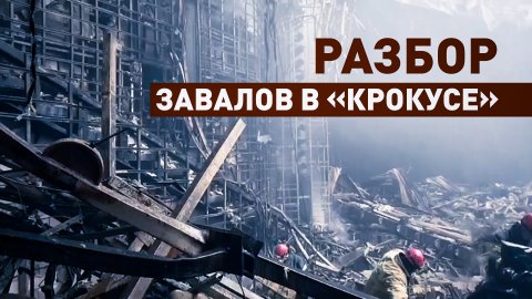 Более 100 спасателей МЧС России разбирают завалы в «Крокусе»