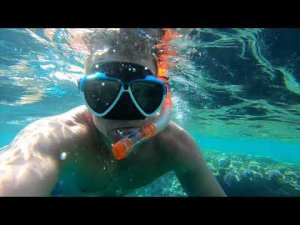 Риф у кафе "Фарша". Шарм-Эль-Шейх. Faraana Reef. Farsha Mountain Lounge. Красное море