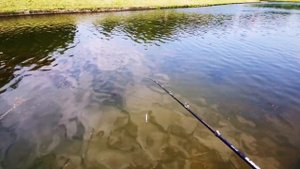 "ТАМ ЧТО-ТО ОГРОМНОЕ" РЫБАЛКА НА КАСТИНГ РЫБАЛКА НА ВОБЛЕР MAJOR CRAFT BASSPARA BPC-692M