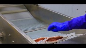 Шоковая заморозка форели и упаковка мороженой продукции