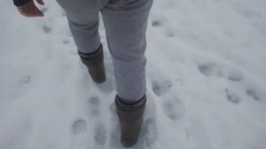 НЕБЫВАЛЫЙ КЛЁВ ЩУКИ В ЭТОМ МЕСТЕ!!! Рыбачу на жерлицы!