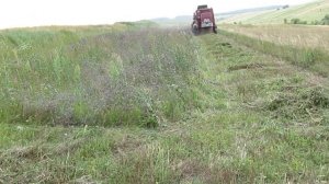 ФАЦЕЛИЯ! СВОИ СЕМЕНА!