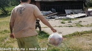 Ходьба без опоры после инсульта для выброса мусора