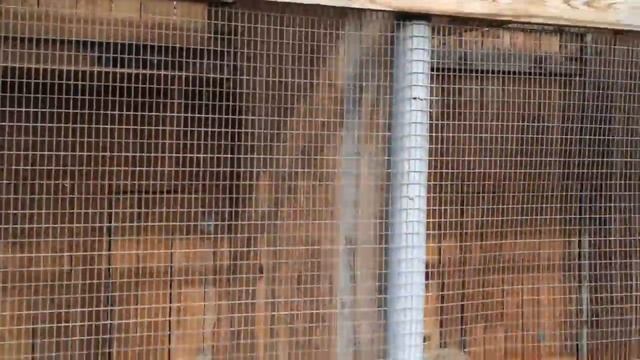 Тюменский зоопарк детский досуг детский ВЛОГ VLOG смотреть онлайн