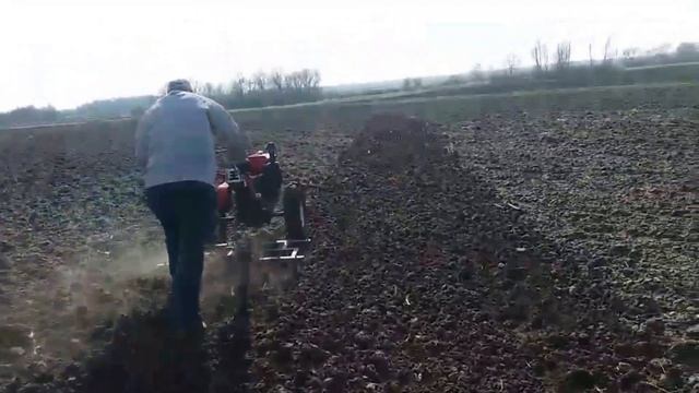 Сезон открыт. Закрытие влаги с помощью мотоблока.