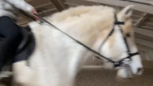 EQUESTRIAN VLOG: ВЛОГ НА КОНЮШНЕ! Я НА САМОЙ БОЛЬШОЙ ЛОШАДИ ? ??