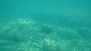 Хорватия, Морская прогулка....