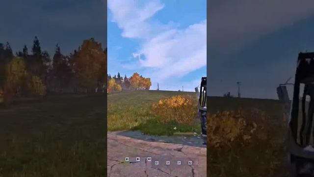 Days in Dayz #dayz #fail #unlucky #moments Финальный файт перед рестартом, Пустошка, сервер MIDNIGH