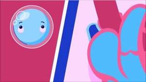 Путешествие кислорода по организму